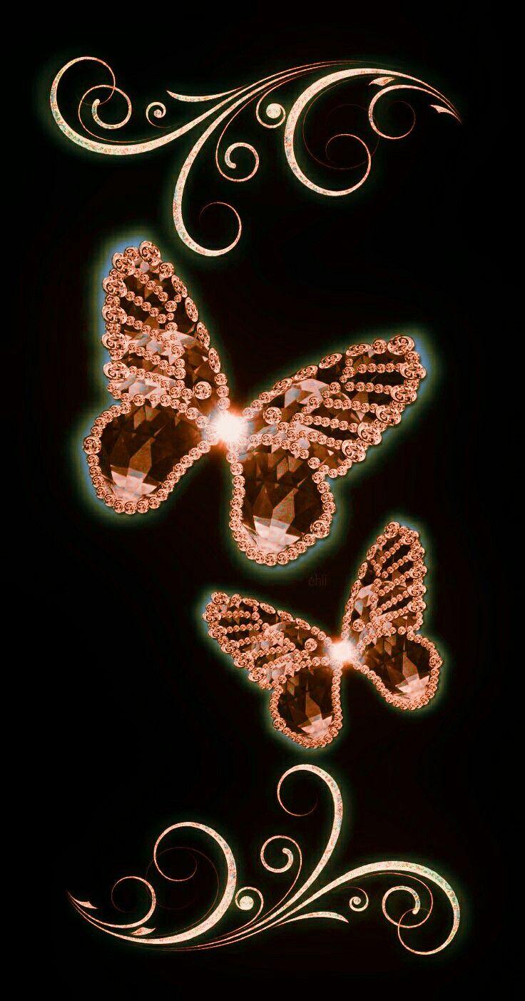 Black and Gold Butterfly Wallpapers Top Free Black and Gold Butterfly