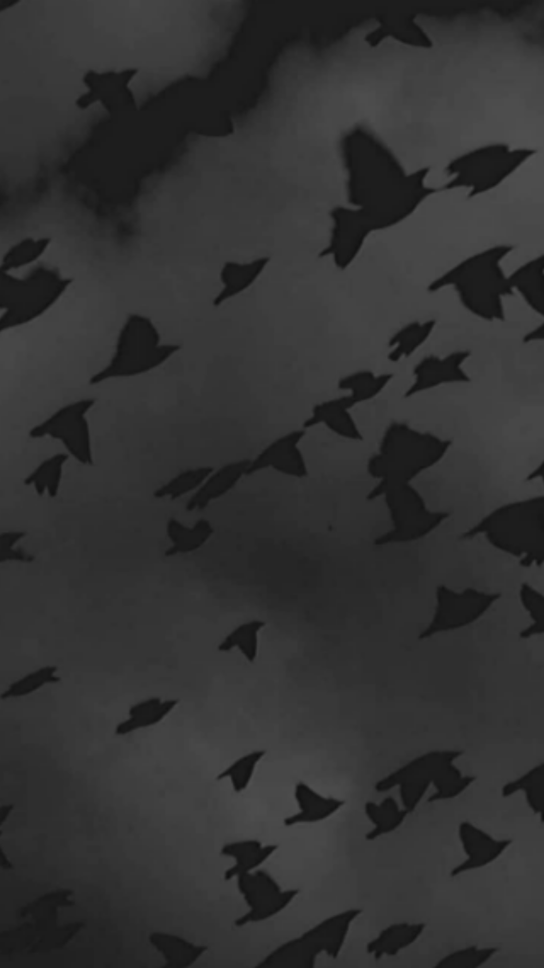 Very Dark Wallpapers Top Free Very Dark Backgrounds WallpaperAccess