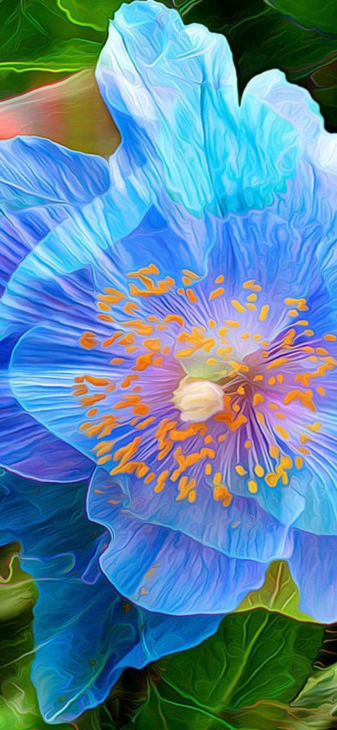 iPhone Blue Flower Wallpapers Top Free iPhone Blue Flower Backgrounds WallpaperAccess