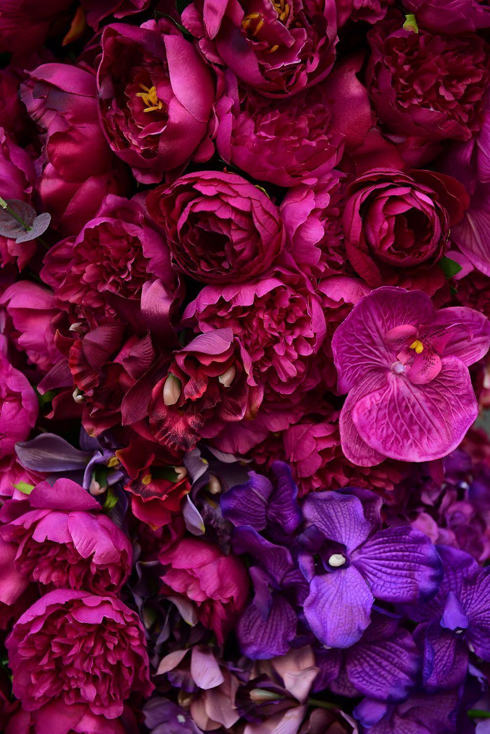 Magenta Flower Wallpapers Top Free Magenta Flower Backgrounds
