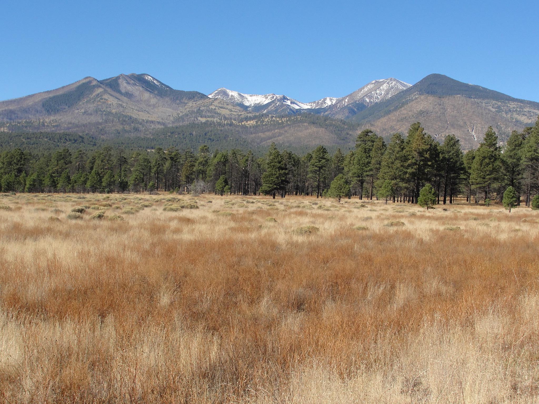 Flagstaff Arizona Wallpapers Top Free Flagstaff Arizona Backgrounds