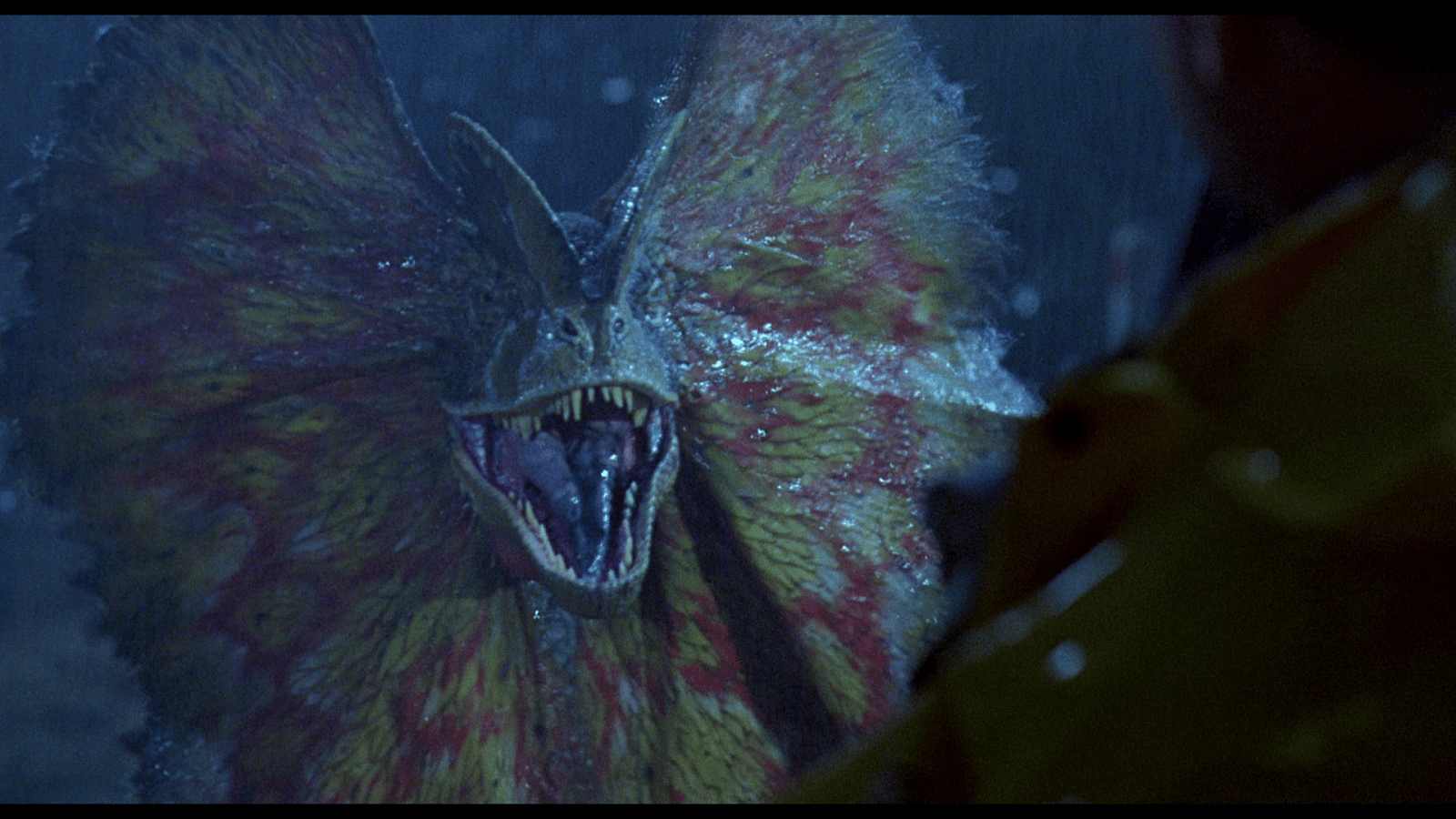 Dilophosaurus Wallpapers Top Free Dilophosaurus Backgrounds