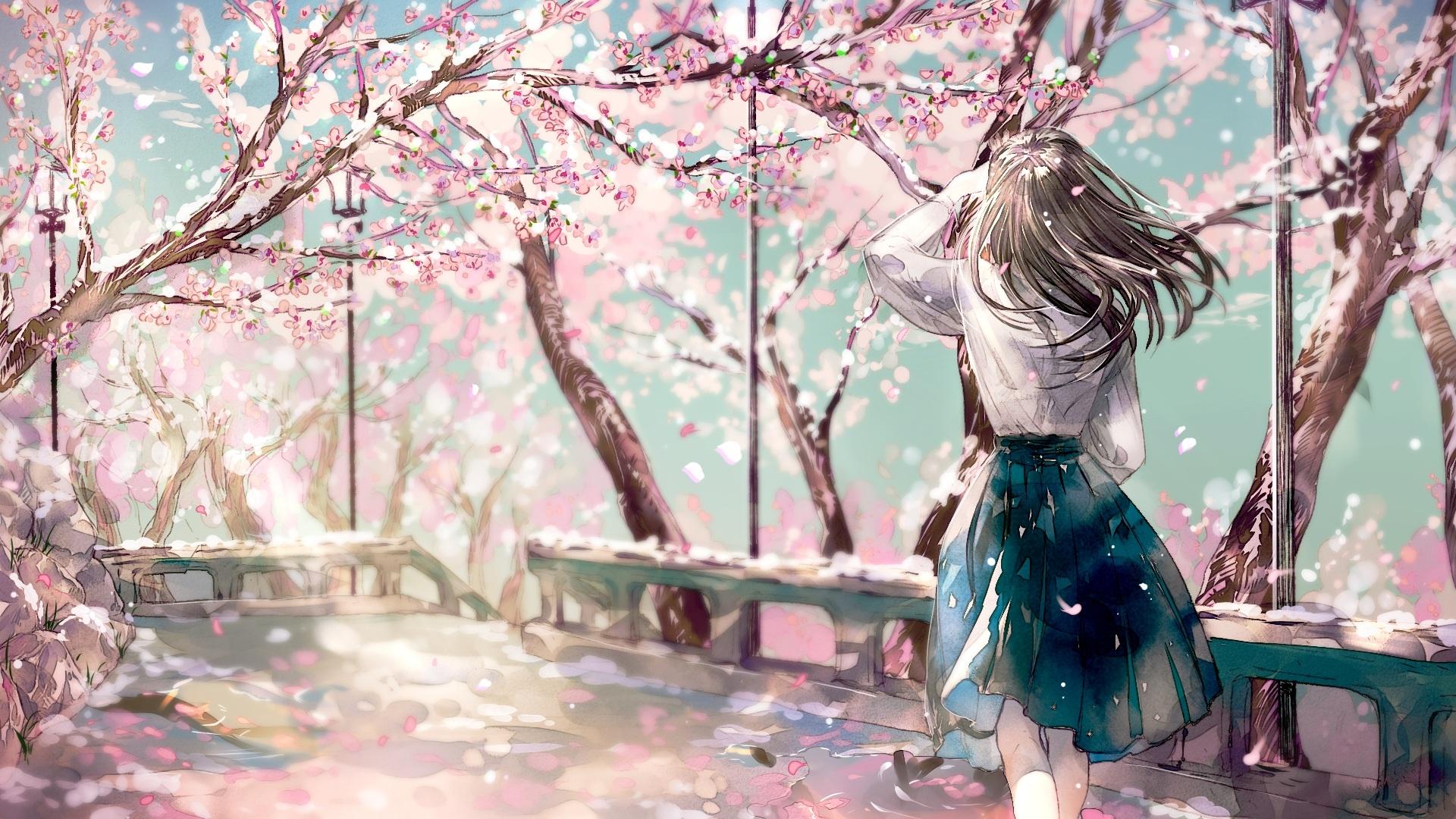 Anime Sakura Flower Wallpapers Top Free Anime Sakura Flower