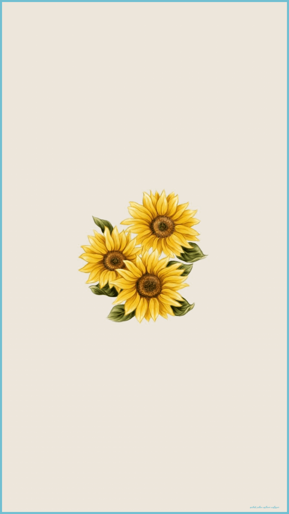 Yellow Sunflower Wallpapers Top Free Yellow Sunflower Backgrounds