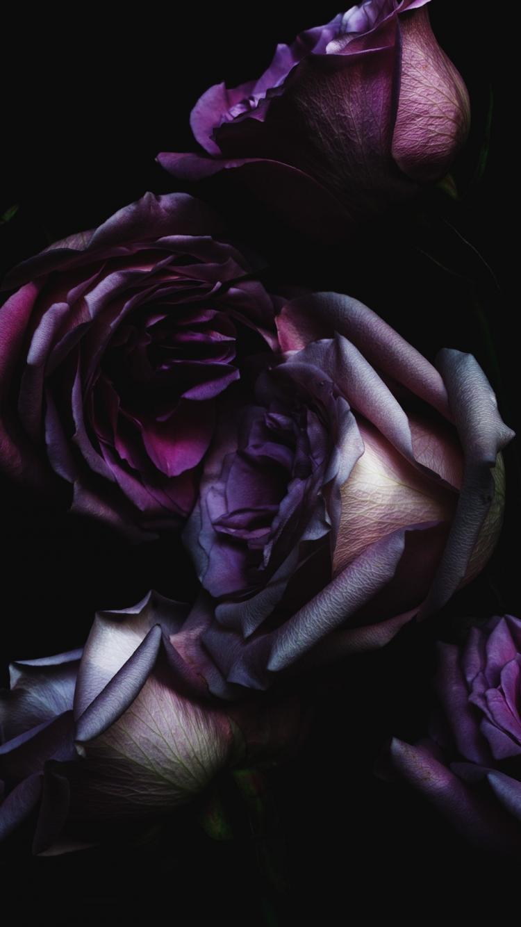 Dark Floral Wallpaper Phone