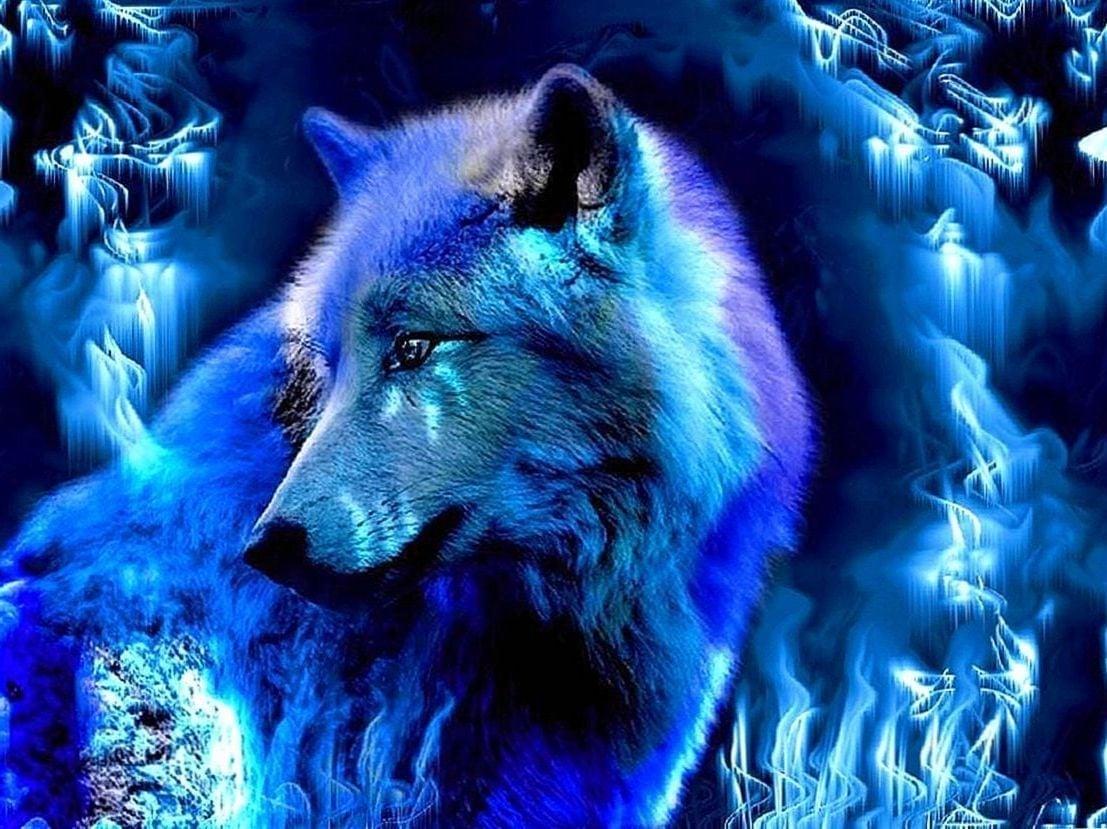 Blue Lightning Wolf Wallpapers Top Free Blue Lightning Wolf Backgrounds WallpaperAccess