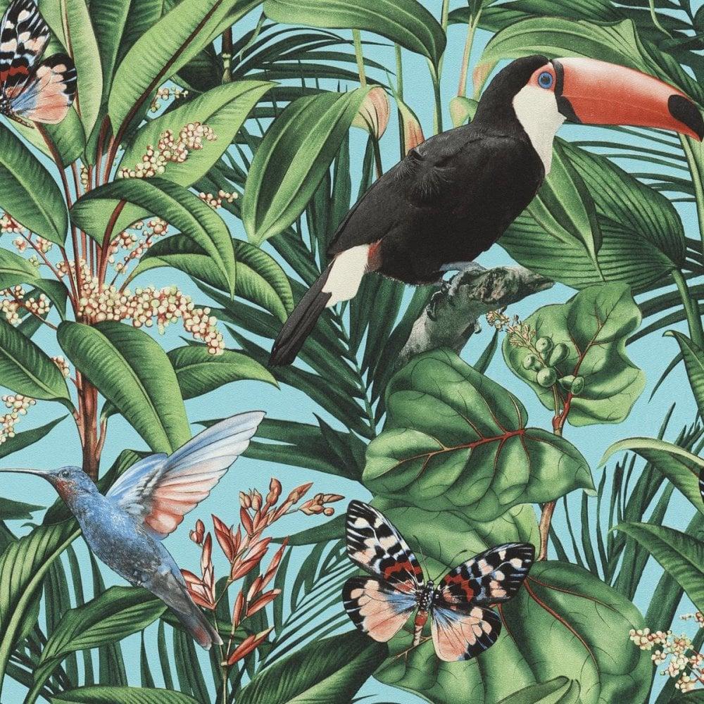 Tropical Bird Wallpapers Top Free Tropical Bird Backgrounds