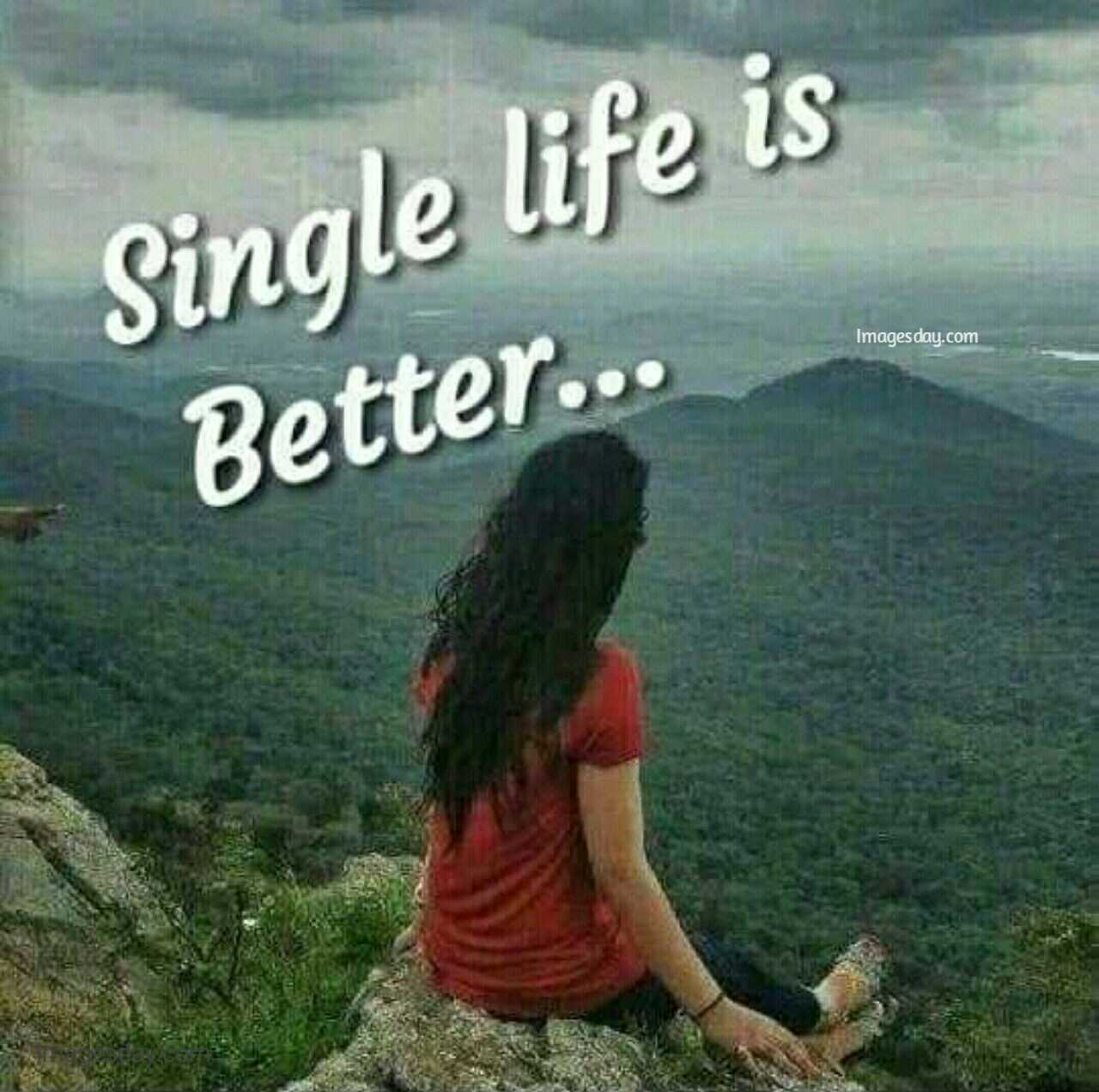 Single Life Wallpapers Top Free Single Life Backgrounds WallpaperAccess