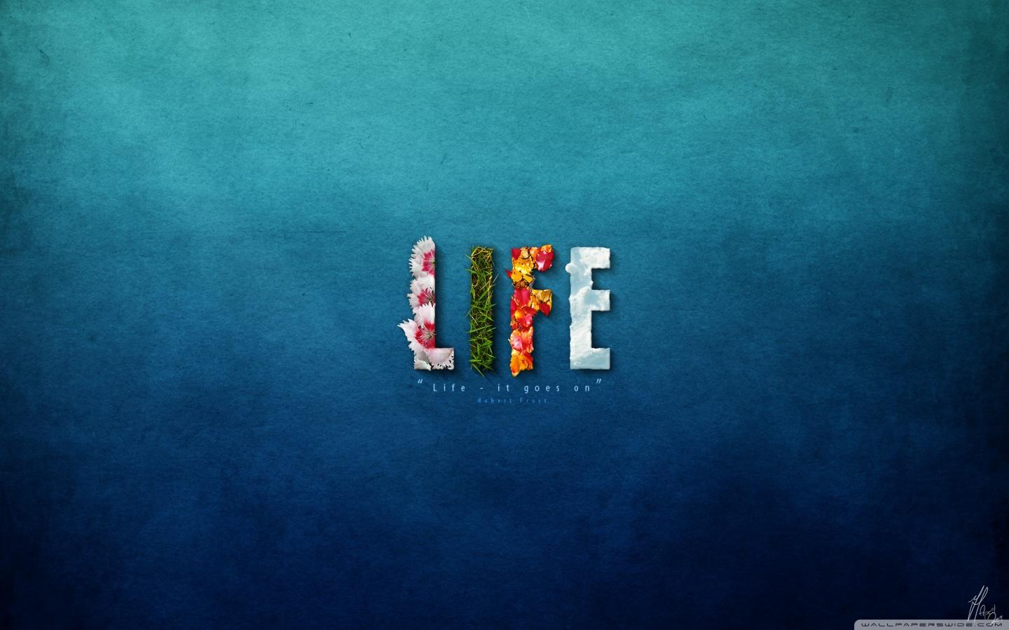 Single Life Wallpapers Top Free Single Life Backgrounds WallpaperAccess