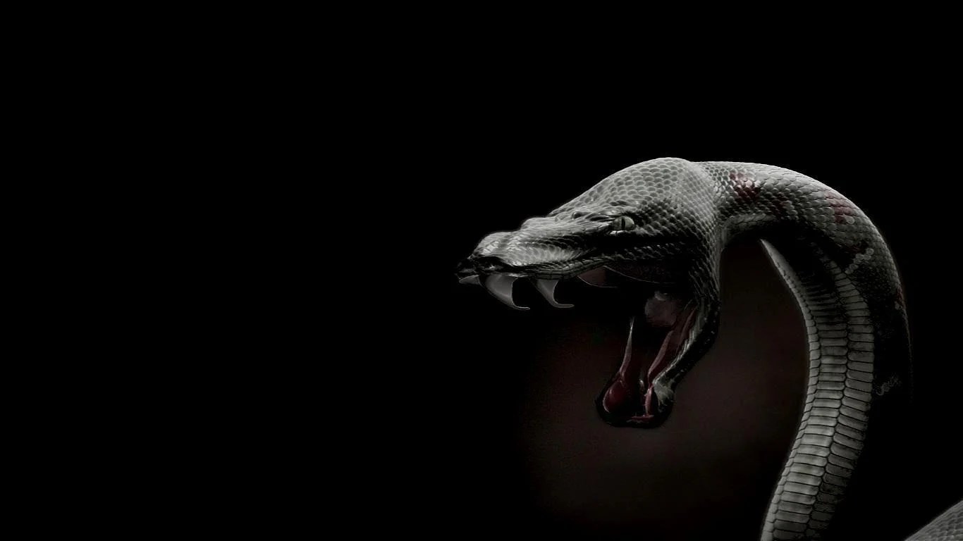 Dark Snake Wallpapers Top Free Dark Snake Backgrounds WallpaperAccess