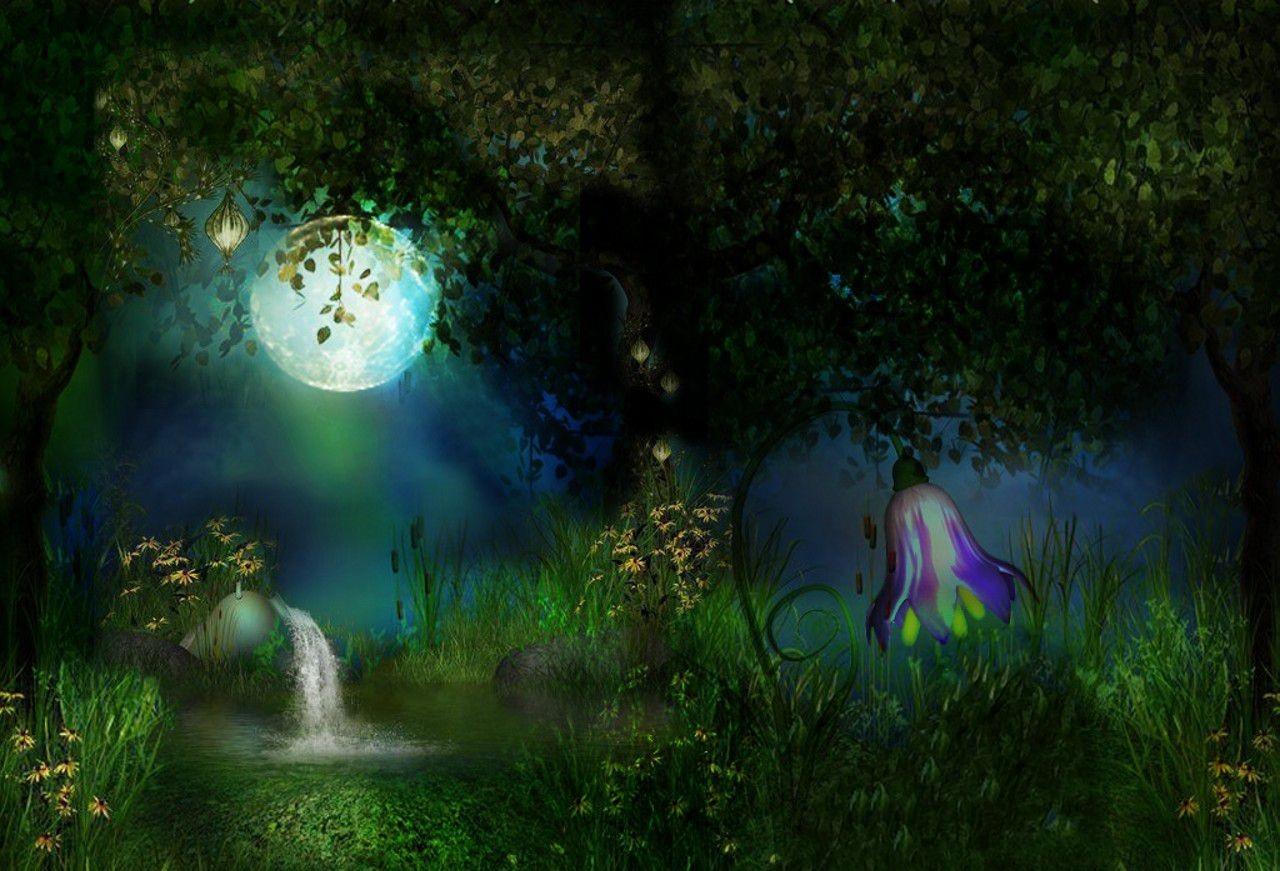 Magical Night Forest Wallpapers Top Free Magical Night Forest
