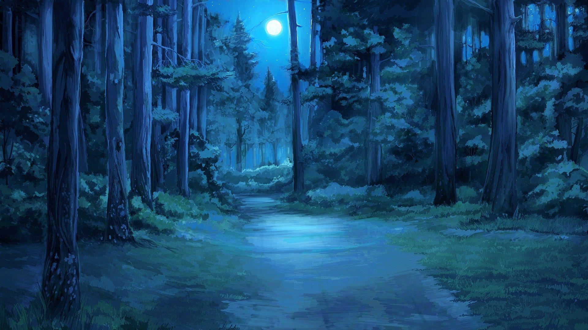 Magical Night Forest Wallpapers Top Free Magical Night Forest