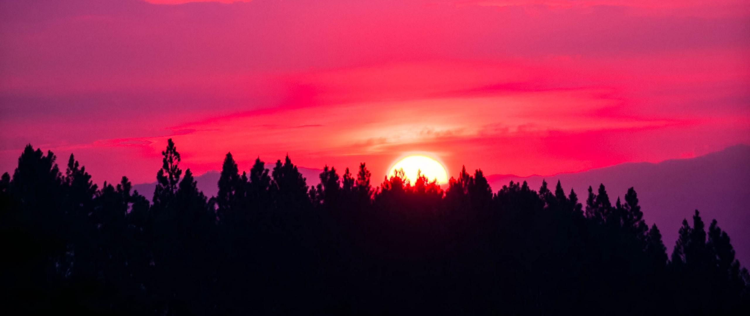 Pink Sky Sunset Wallpapers Top Free Pink Sky Sunset Backgrounds