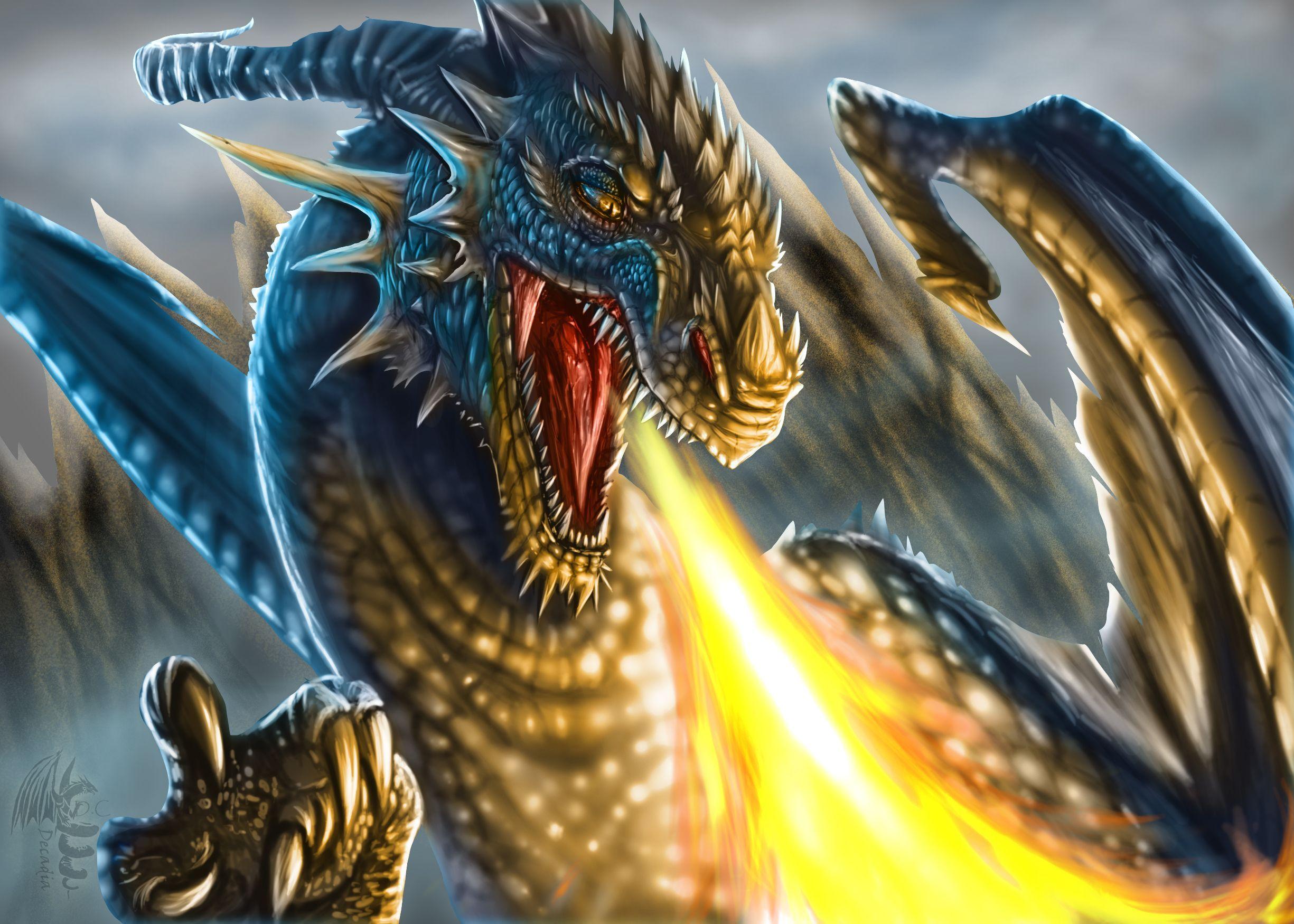 Angry Dragon Wallpapers Top Free Angry Dragon Backgrounds