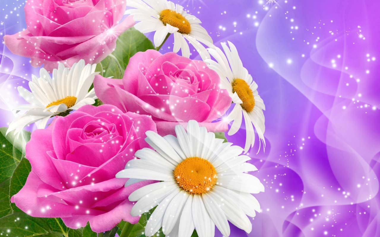 3D Spring Flower Wallpapers Top Free 3D Spring Flower Backgrounds