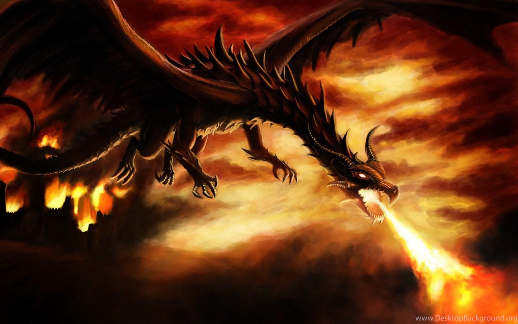 Black Fire Dragon Wallpapers Top Free Black Fire Dragon Backgrounds