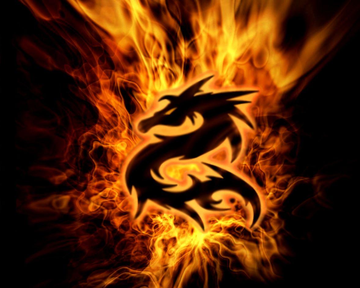 Black Fire Dragon Wallpapers Top Free Black Fire Dragon Backgrounds