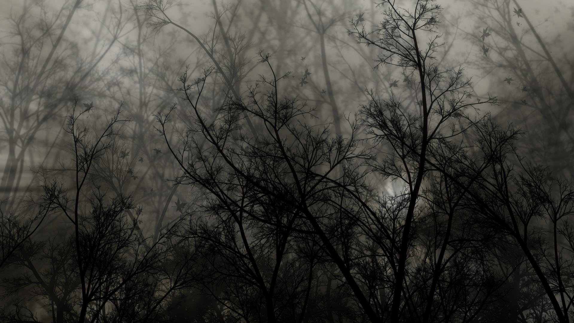 Dark Tree HD Wallpapers Top Free Dark Tree HD Backgrounds