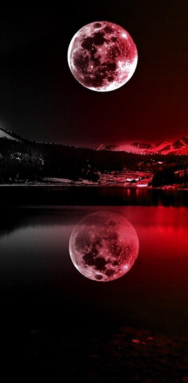 Red Moon Phone Wallpapers Top Free Red Moon Phone Backgrounds