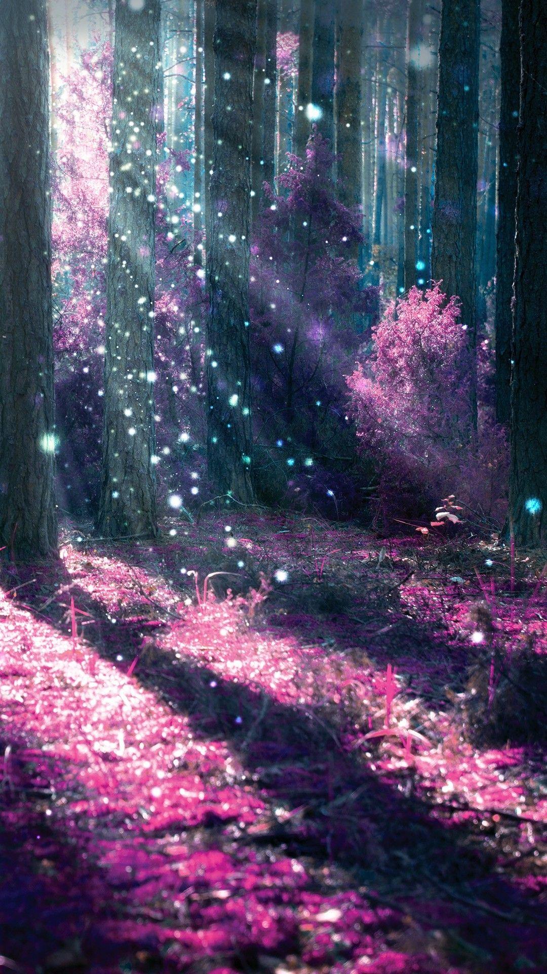 Enchanted Forest Phone Wallpapers Top Free Enchanted Forest Phone