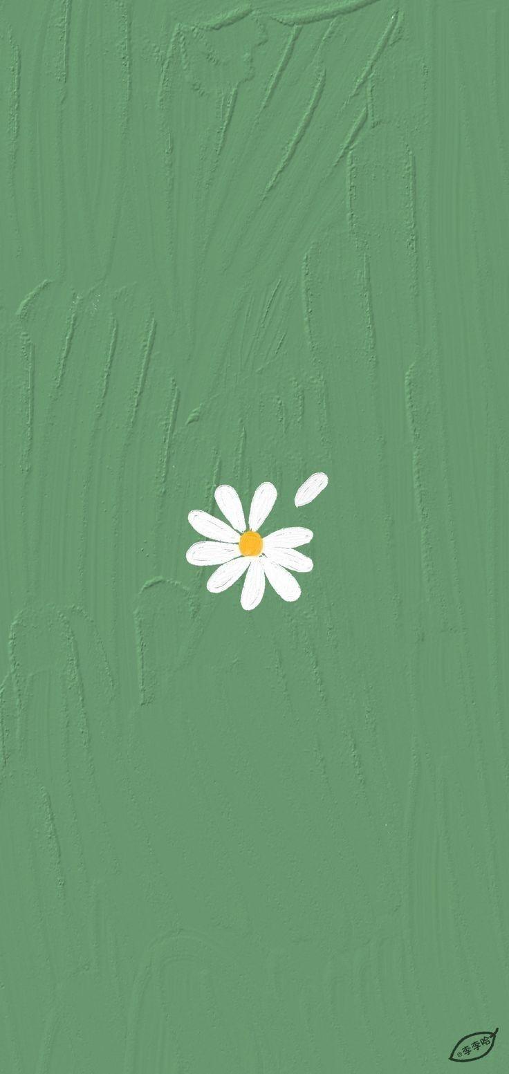 Simple Green Aesthetic Wallpapers Top Free Simple Green Aesthetic