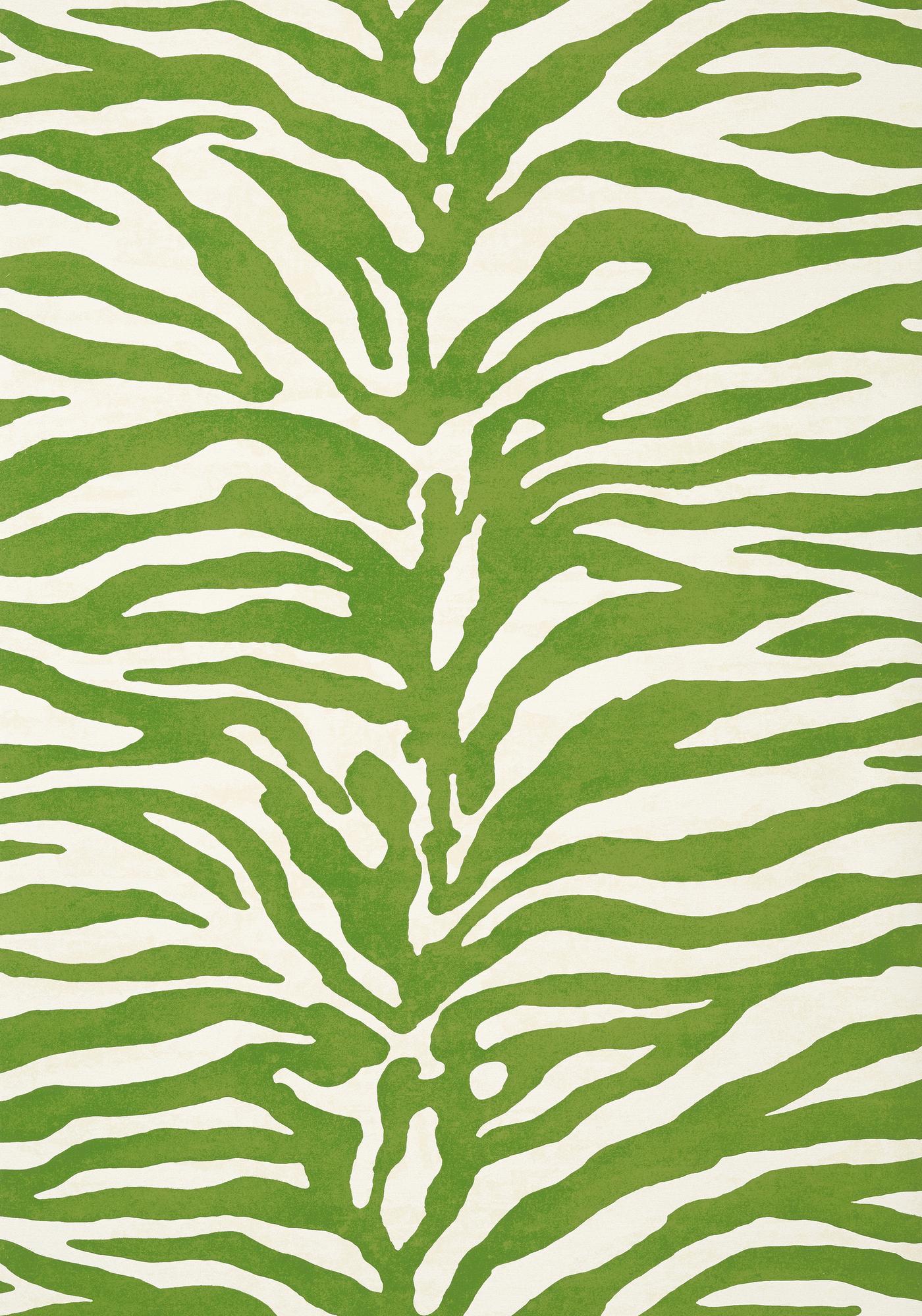 Green Zebra Wallpapers Top Free Green Zebra Backgrounds WallpaperAccess