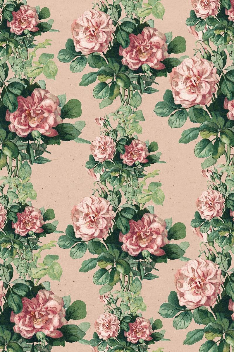 Pink Floral Pattern Wallpapers Top Free Pink Floral Pattern