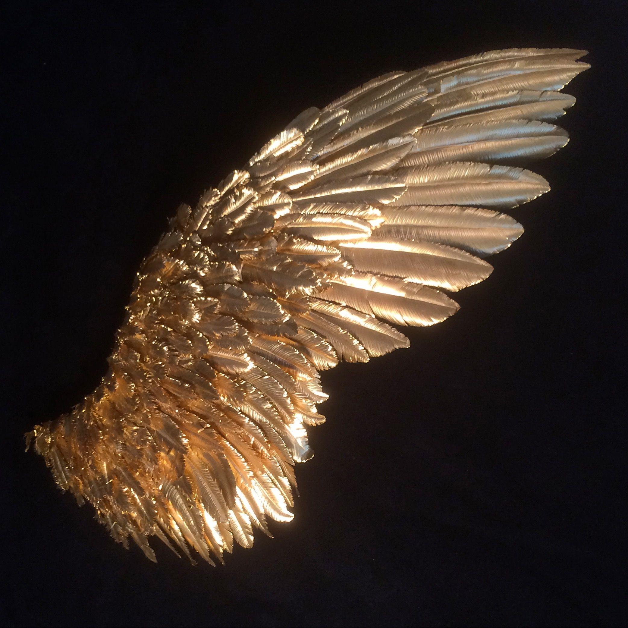 Gold Angel Wings Wallpapers Top Free Gold Angel Wings Backgrounds
