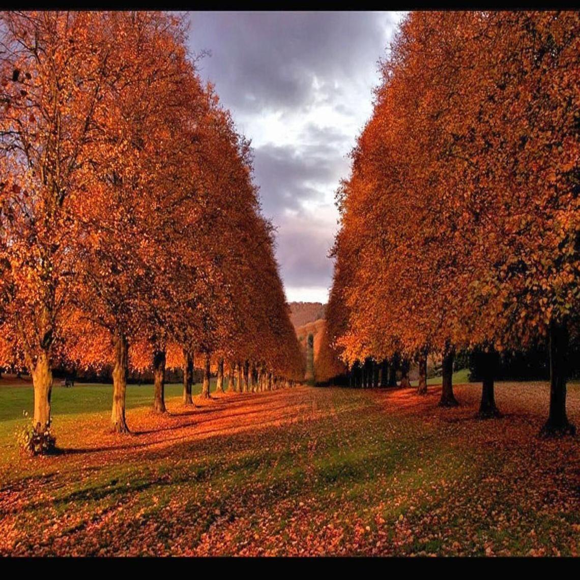 Autumn in Ireland Wallpapers Top Free Autumn in Ireland Backgrounds