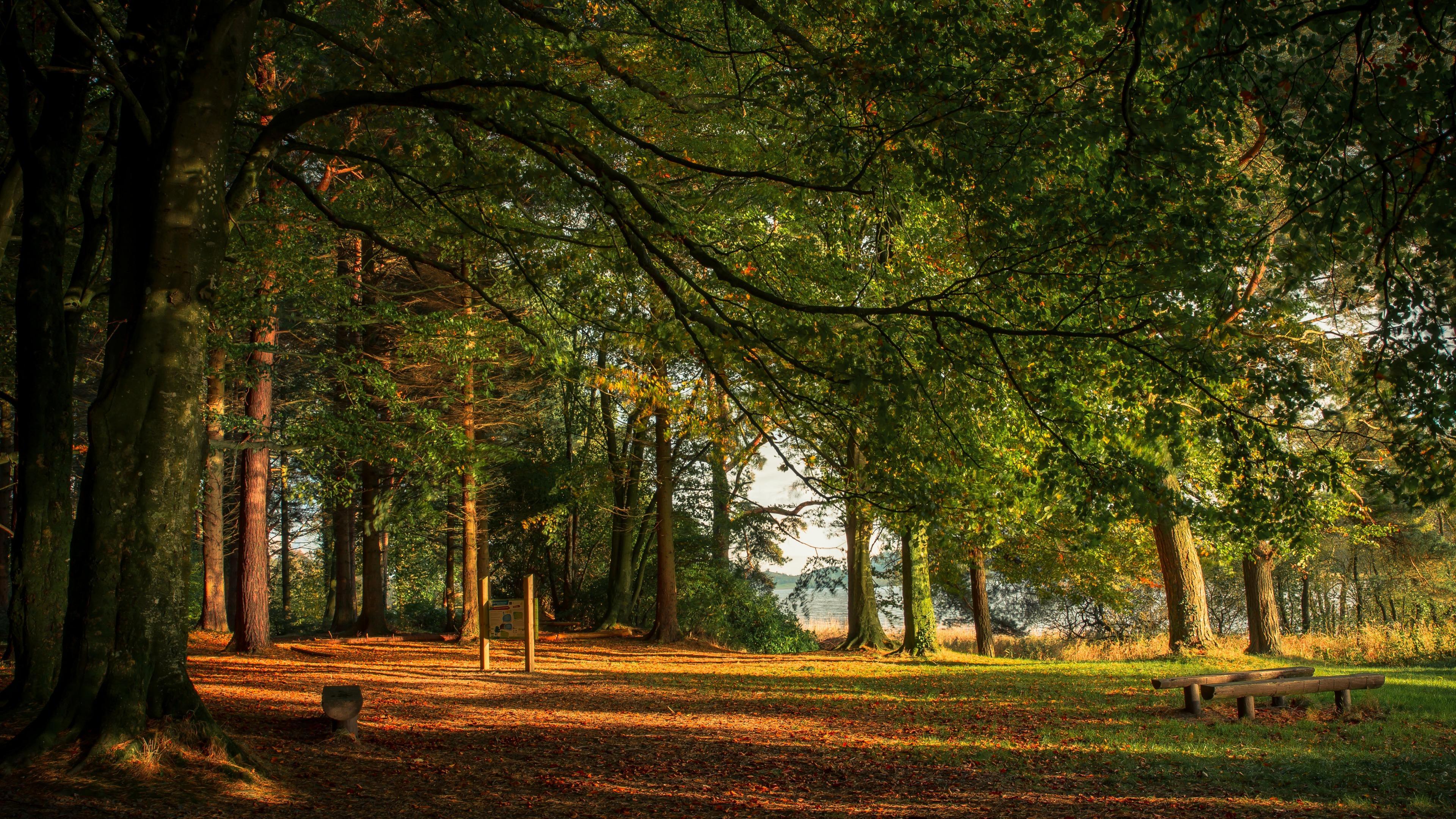 Autumn in Ireland Wallpapers Top Free Autumn in Ireland Backgrounds