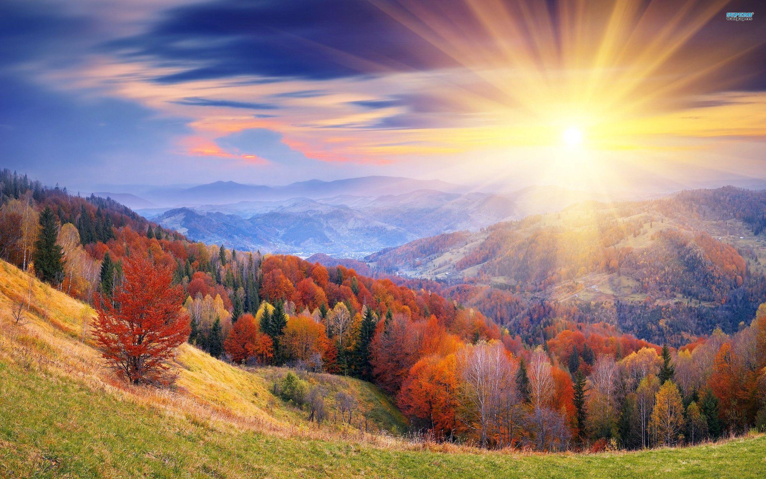 Bright Sunrise Wallpapers Top Free Bright Sunrise Backgrounds