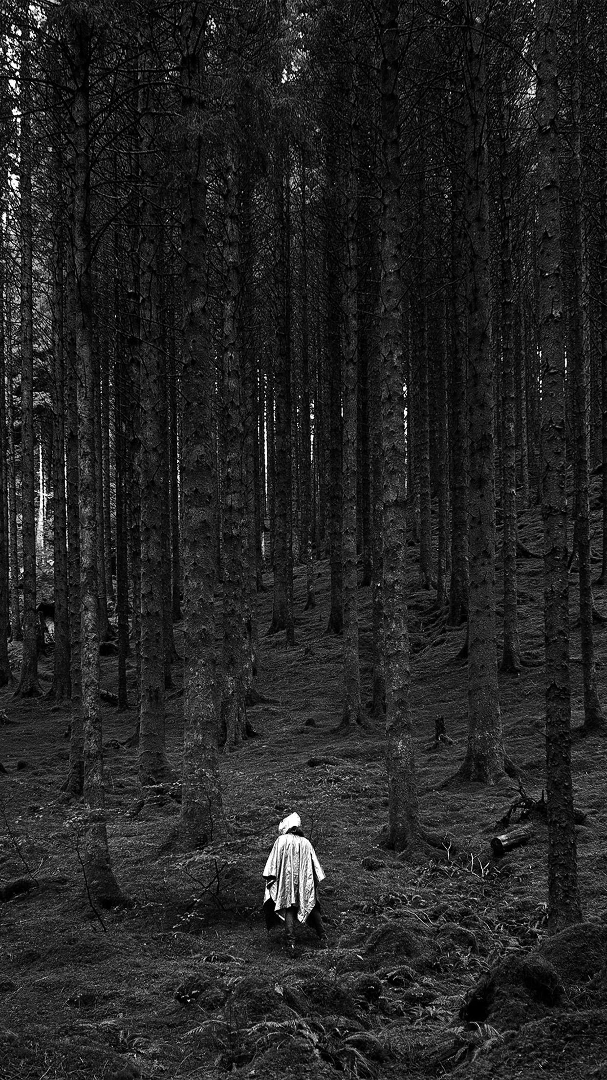 Black and White Woods Wallpapers Top Free Black and White Woods