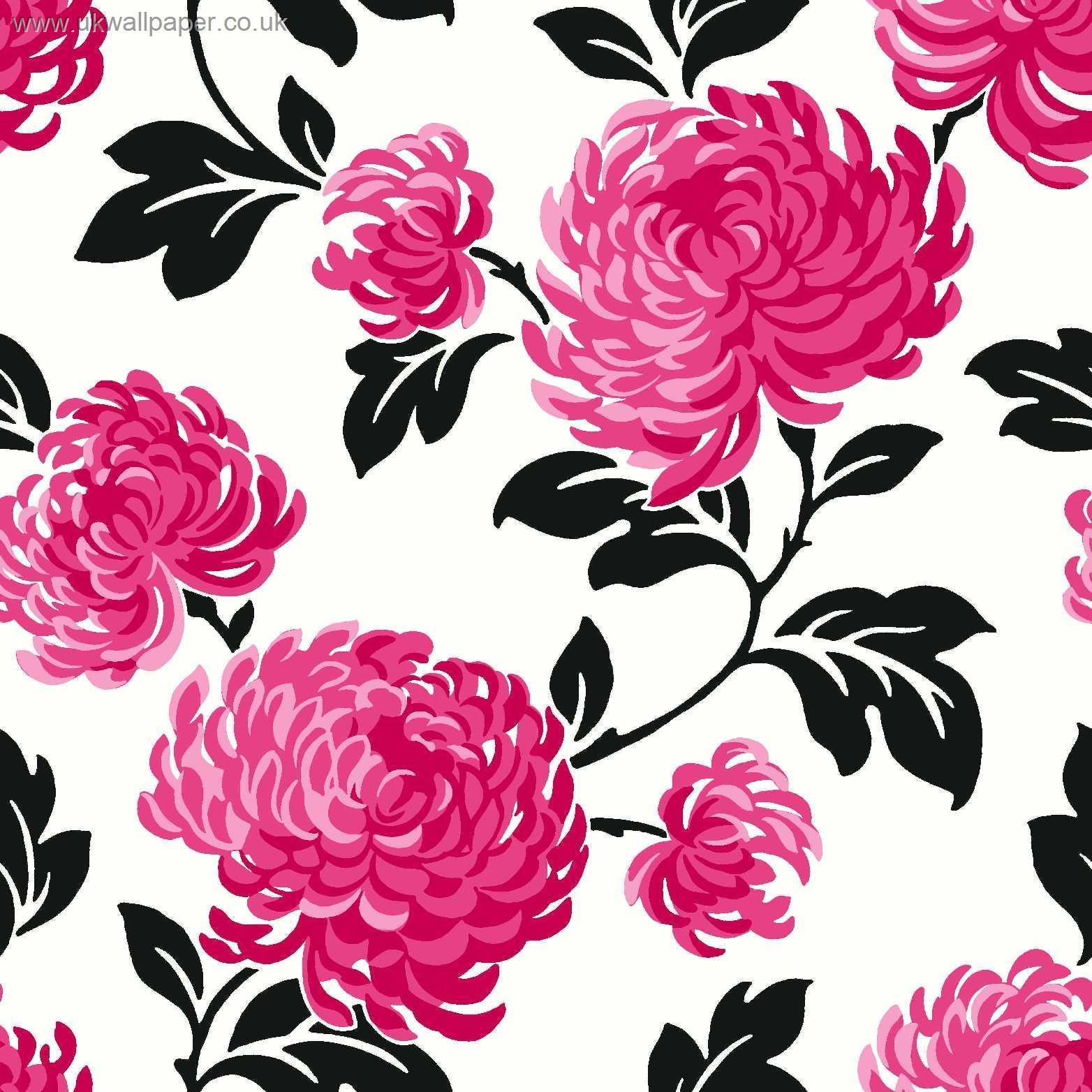 Black Pink Floral Wallpapers Top Free Black Pink Floral Backgrounds