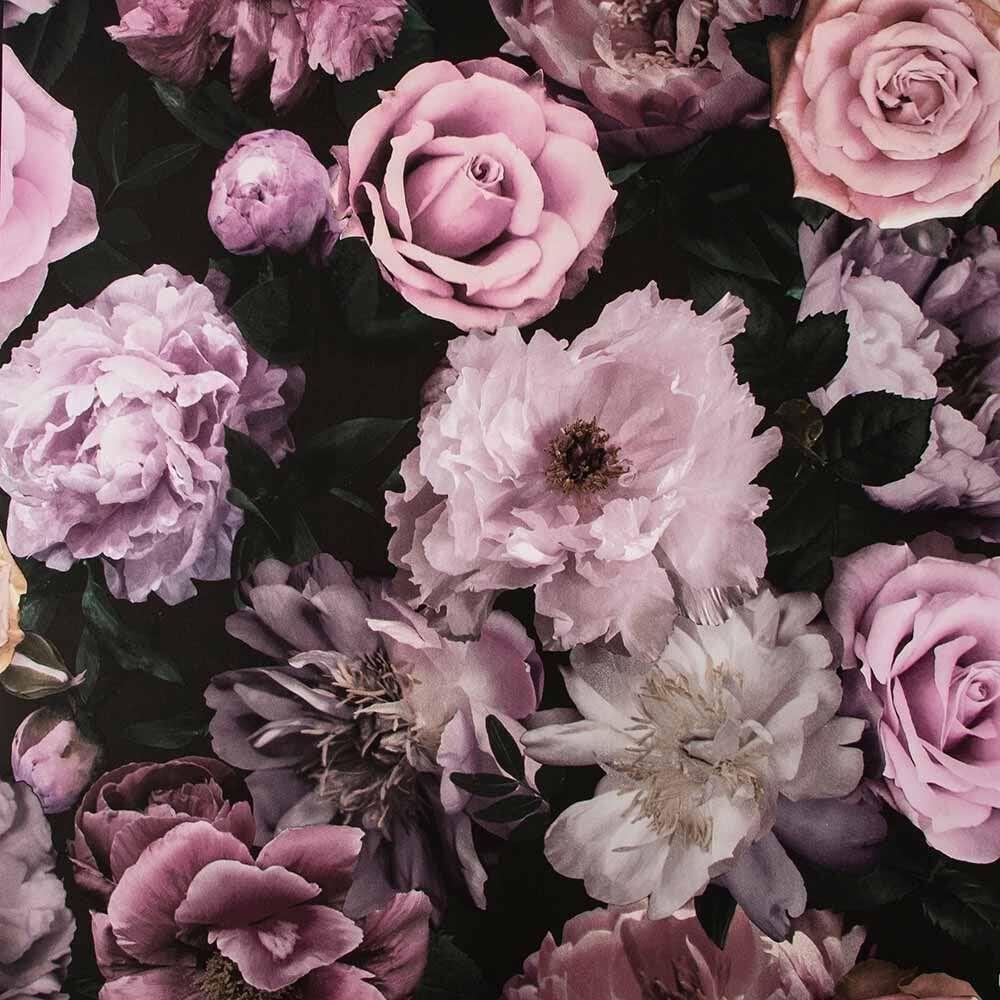 Black Pink Floral Wallpapers Top Free Black Pink Floral Backgrounds