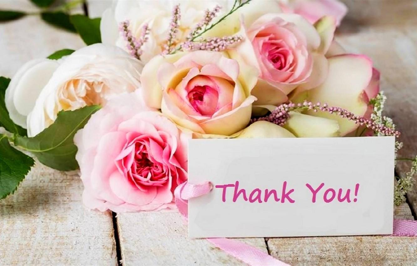 Thank You Card Wallpapers Top Free Thank You Card Backgrounds