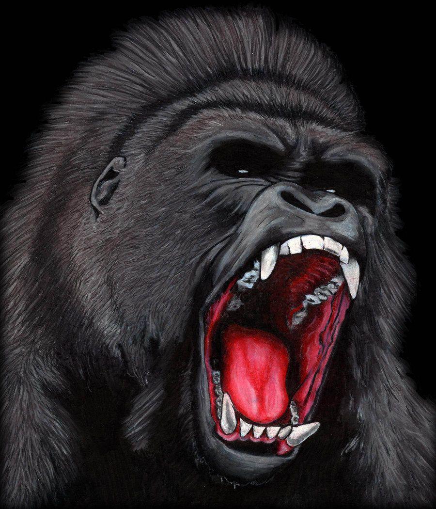 Cartoon Gorilla Wallpapers - Top Free Cartoon Gorilla Backgrounds - Wallpaperaccess 1050_x_900_jpg