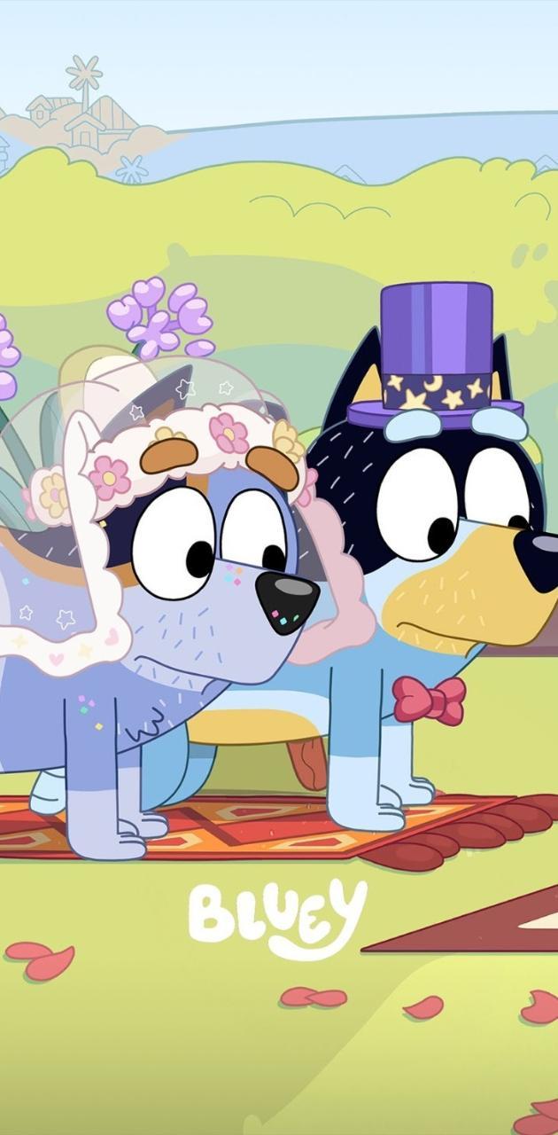 Bluey Cartoon Wallpapers Top Free Bluey Cartoon Backgrounds