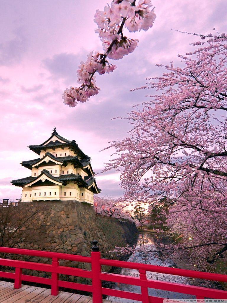 Japanese Phone Wallpapers Top Free Japanese Phone Backgrounds