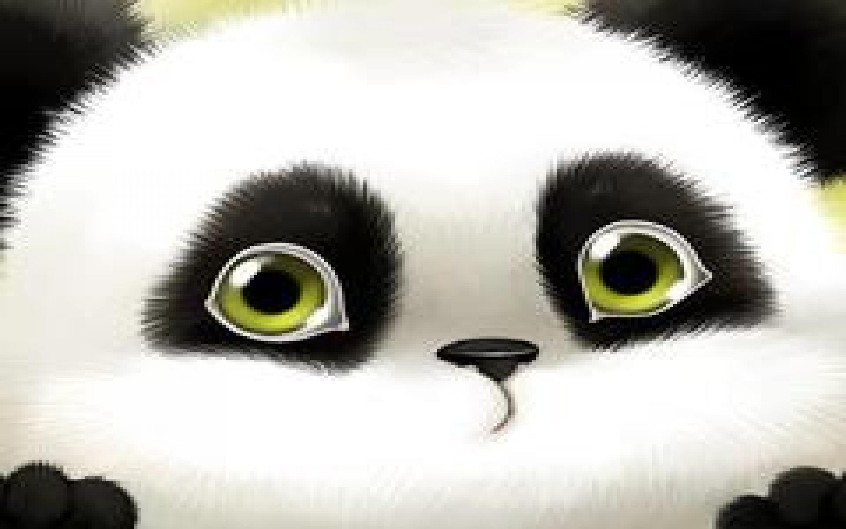 Small Cute Cartoon Panda Wallpapers Top Free Small Cute Cartoon Panda