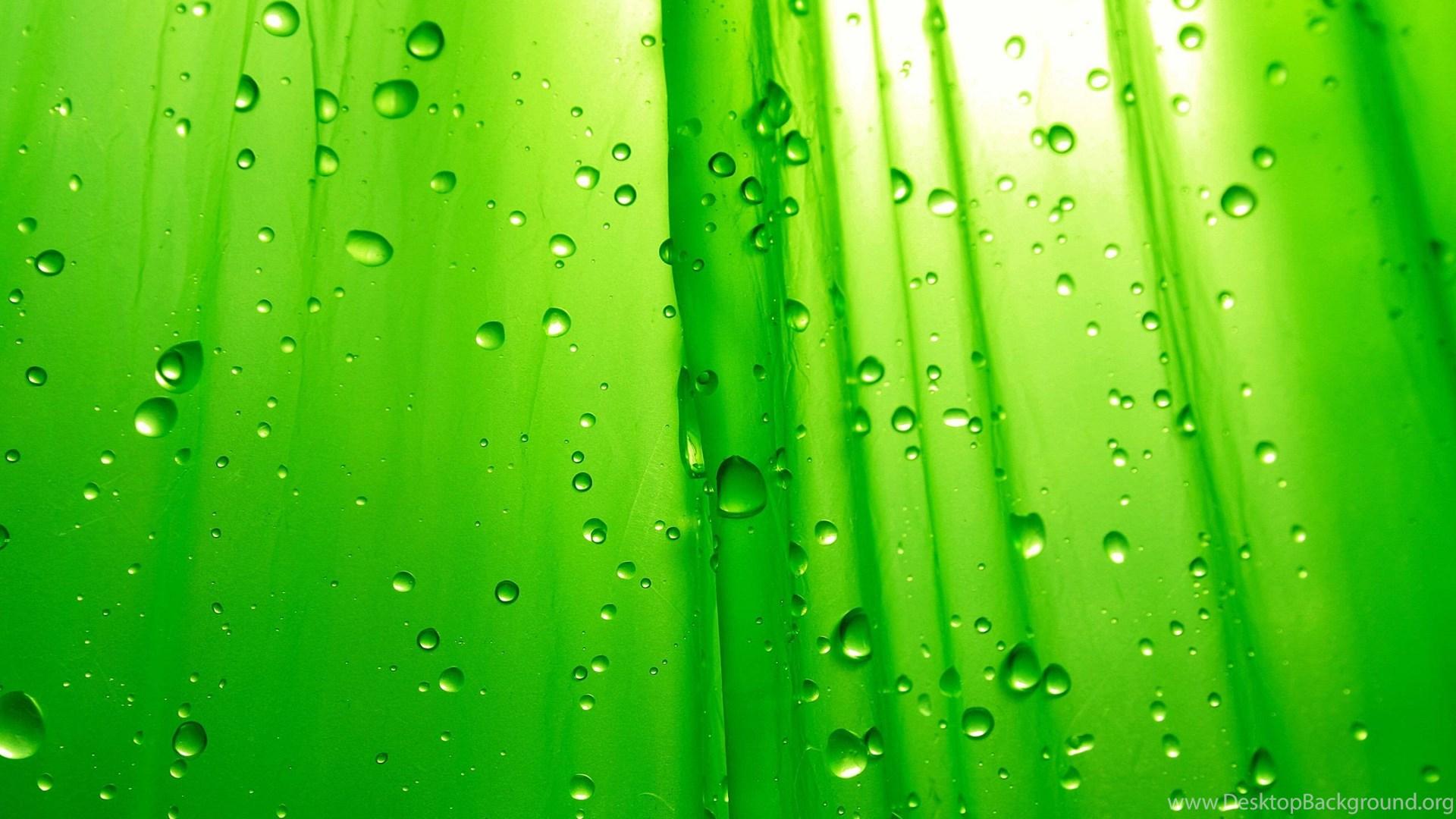 Go Green Wallpapers Top Free Go Green Backgrounds WallpaperAccess