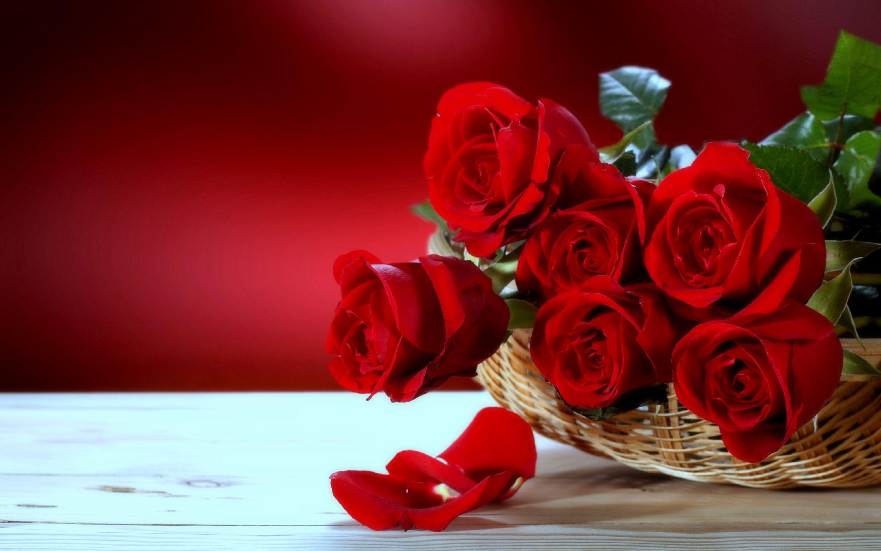 Beautiful Love Flowers Wallpapers Top Free Beautiful Love Flowers