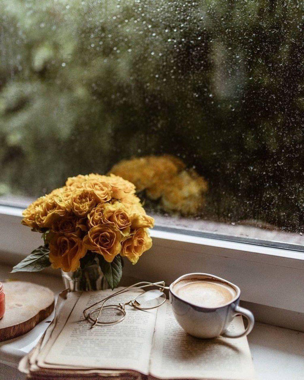 Cozy Rainy Day Wallpapers Top Free Cozy Rainy Day Backgrounds