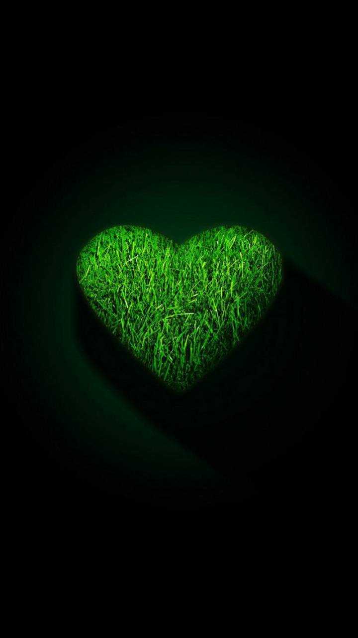 Green Heart Wallpapers Top Free Green Heart Backgrounds WallpaperAccess