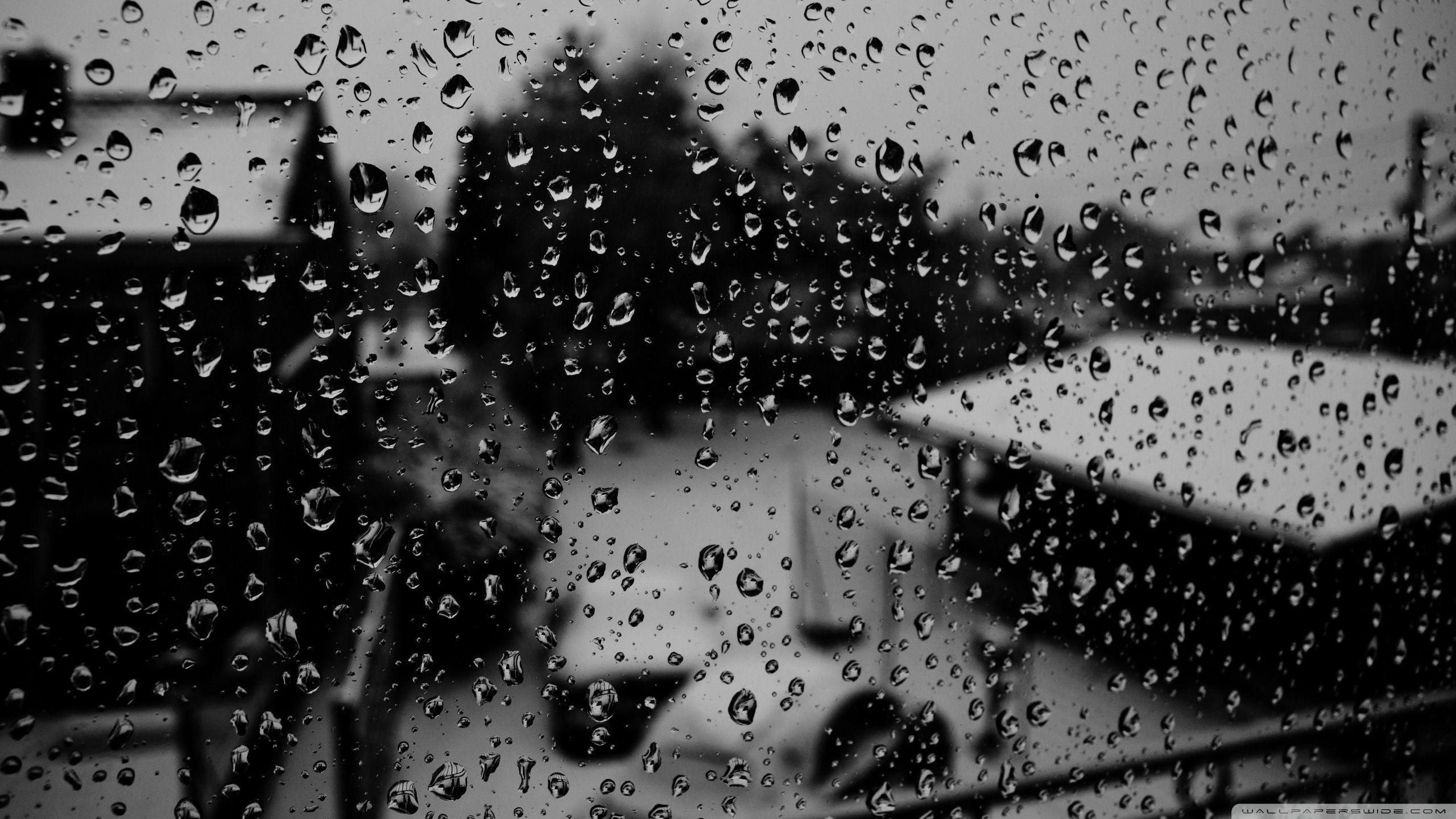 Winter Rain Wallpapers Top Free Winter Rain Backgrounds WallpaperAccess