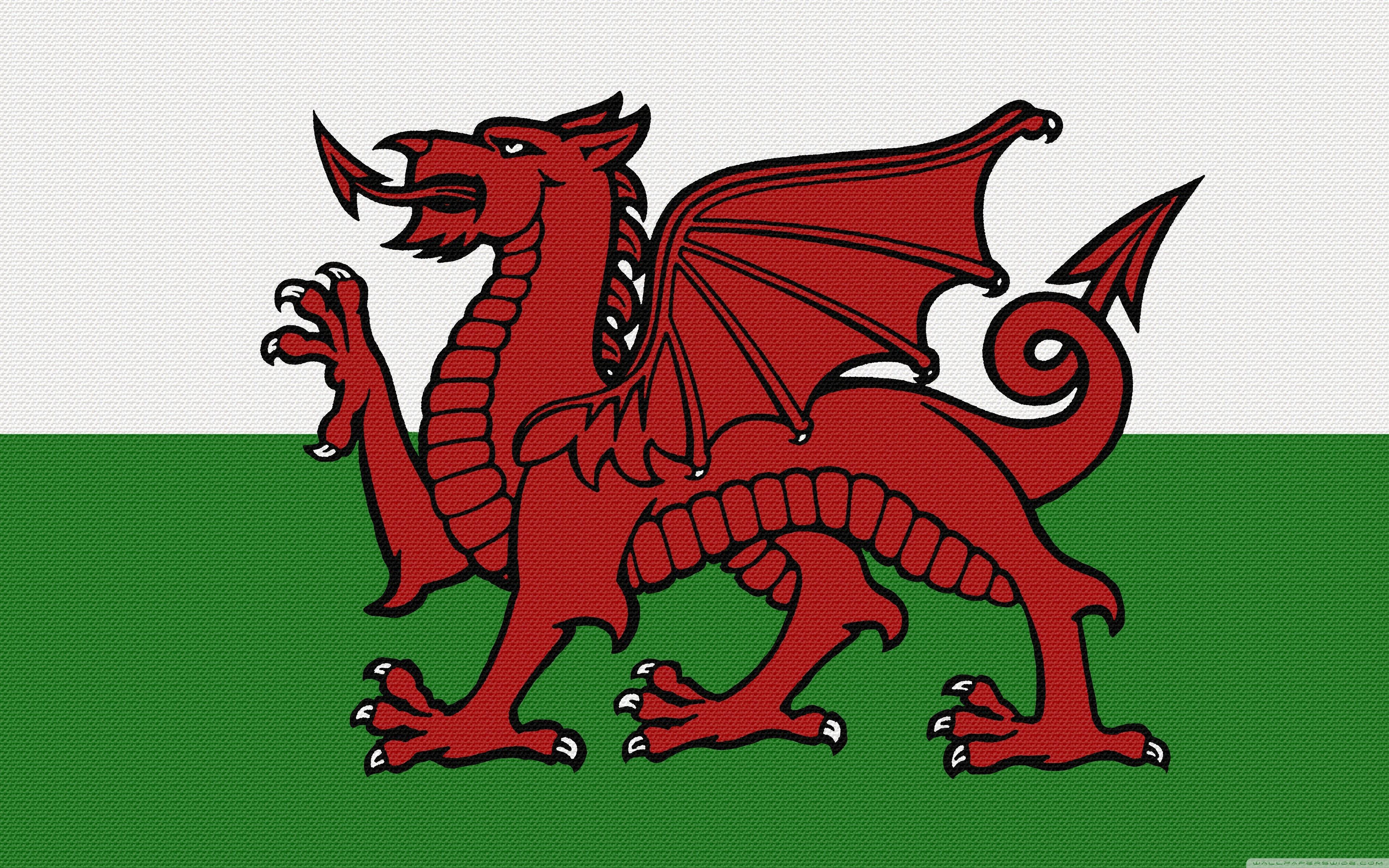 Welsh Dragon Wallpapers Top Free Welsh Dragon Backgrounds