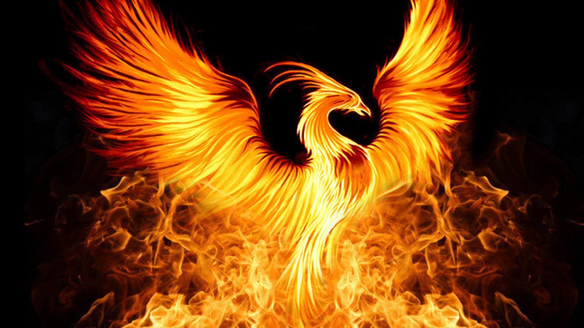4K Phoenix Bird Wallpapers Top Free 4K Phoenix Bird Backgrounds