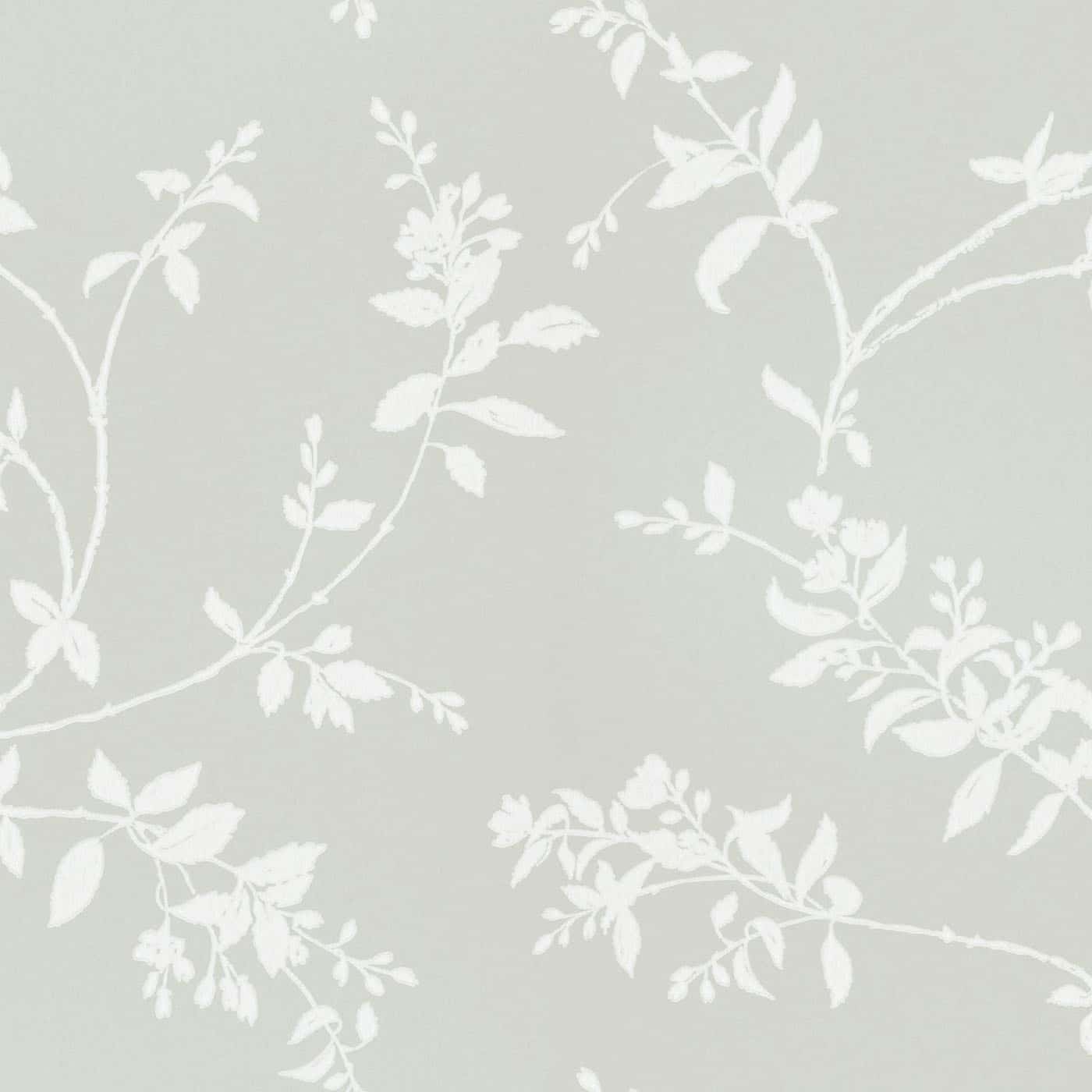 Light Green Pattern Wallpapers Top Free Light Green Pattern