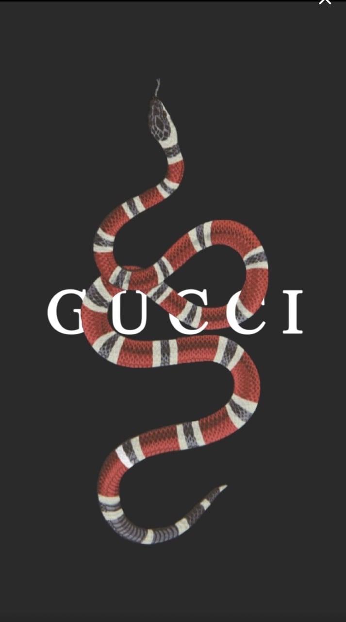 Gucci Snake Gucci Wallpaper 4K Gucci Wallpaper HD 4K for Android