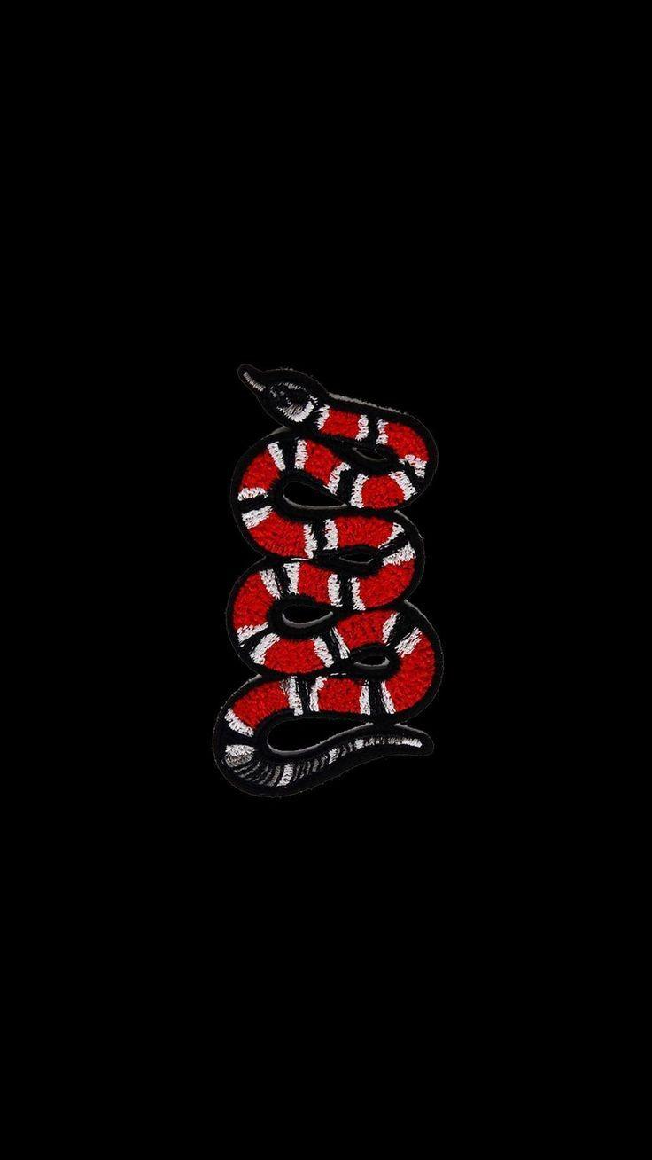 Gucci Snake Wallpapers Top Free Gucci Snake Backgrounds WallpaperAccess
