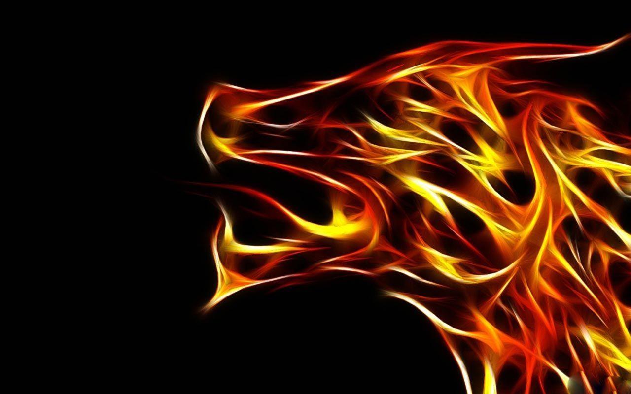 Cool Fire Wolf Wallpapers Top Free Cool Fire Wolf Backgrounds